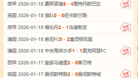 张之臻马哈奇男双澳网八强梦碎