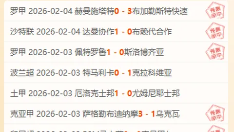 大乐透期号专家推荐分析：主场龙数据倾斜解析